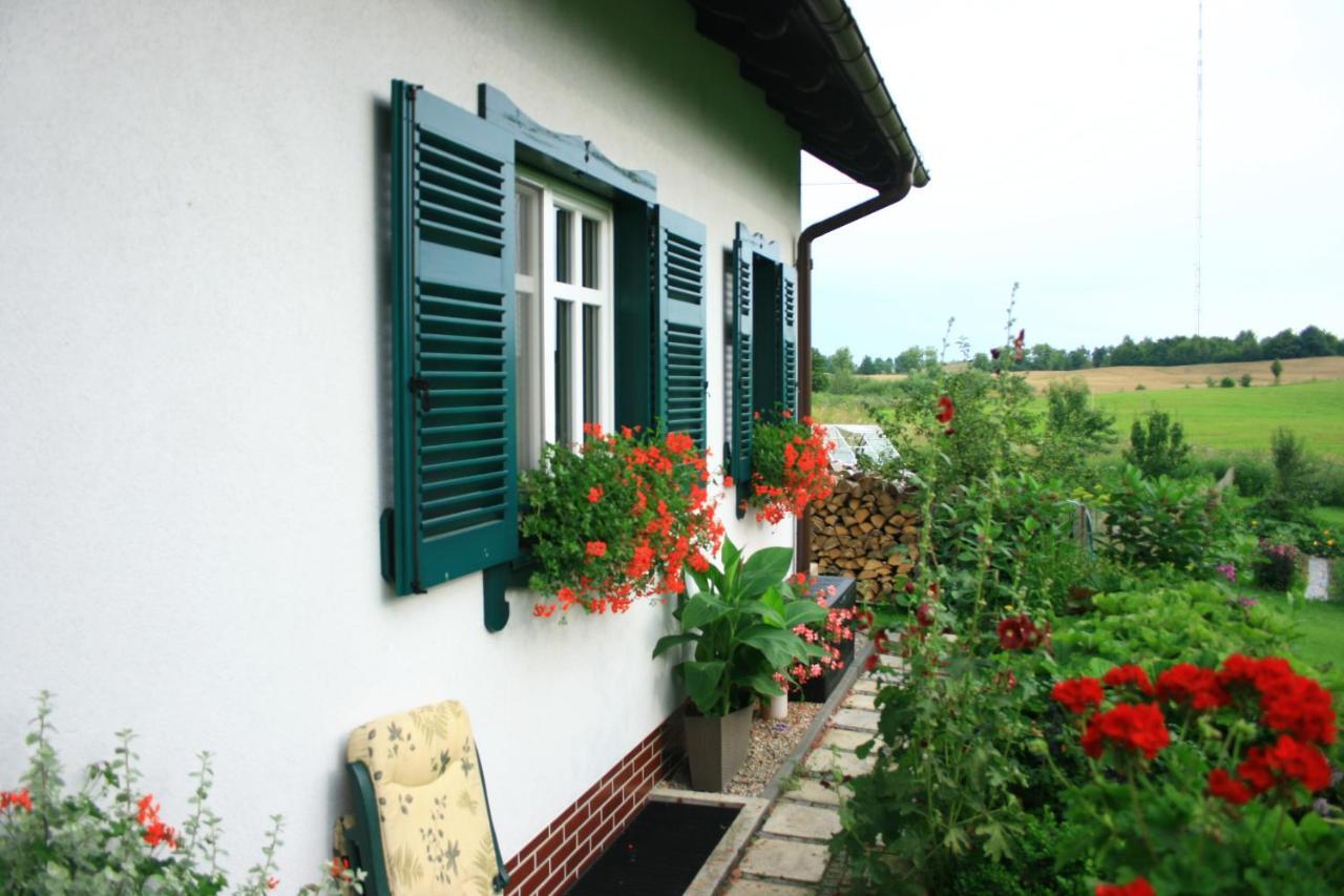 Zielone Okiennice Miłki Exterior foto
