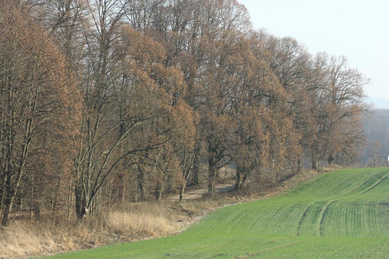 Zielone Okiennice Miłki Exterior foto